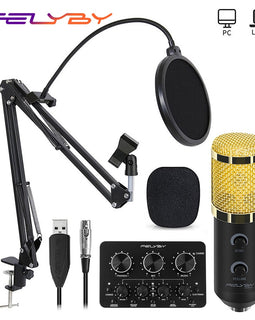 FELYBY Bm 900 USB Condenser Microphone - yourpcpartsstore